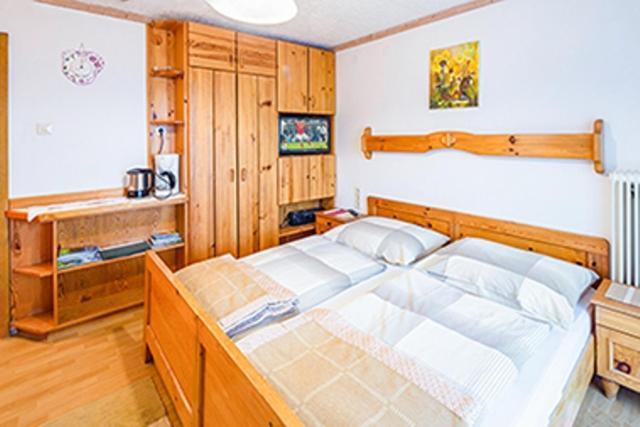 Appartements Scharzenberger Und Hinteregg Schladming Zewnętrze zdjęcie